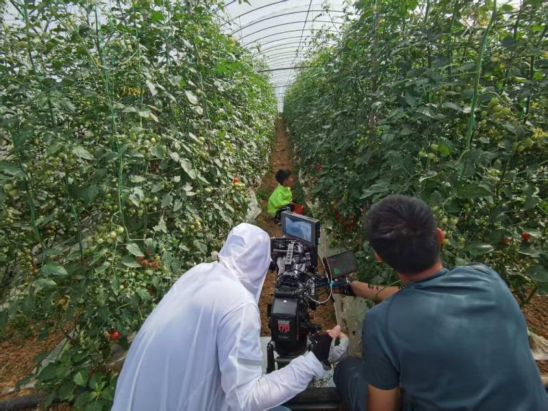 道外区产品宣传视频拍摄公司进阶指南，助力品牌抢占传播高地